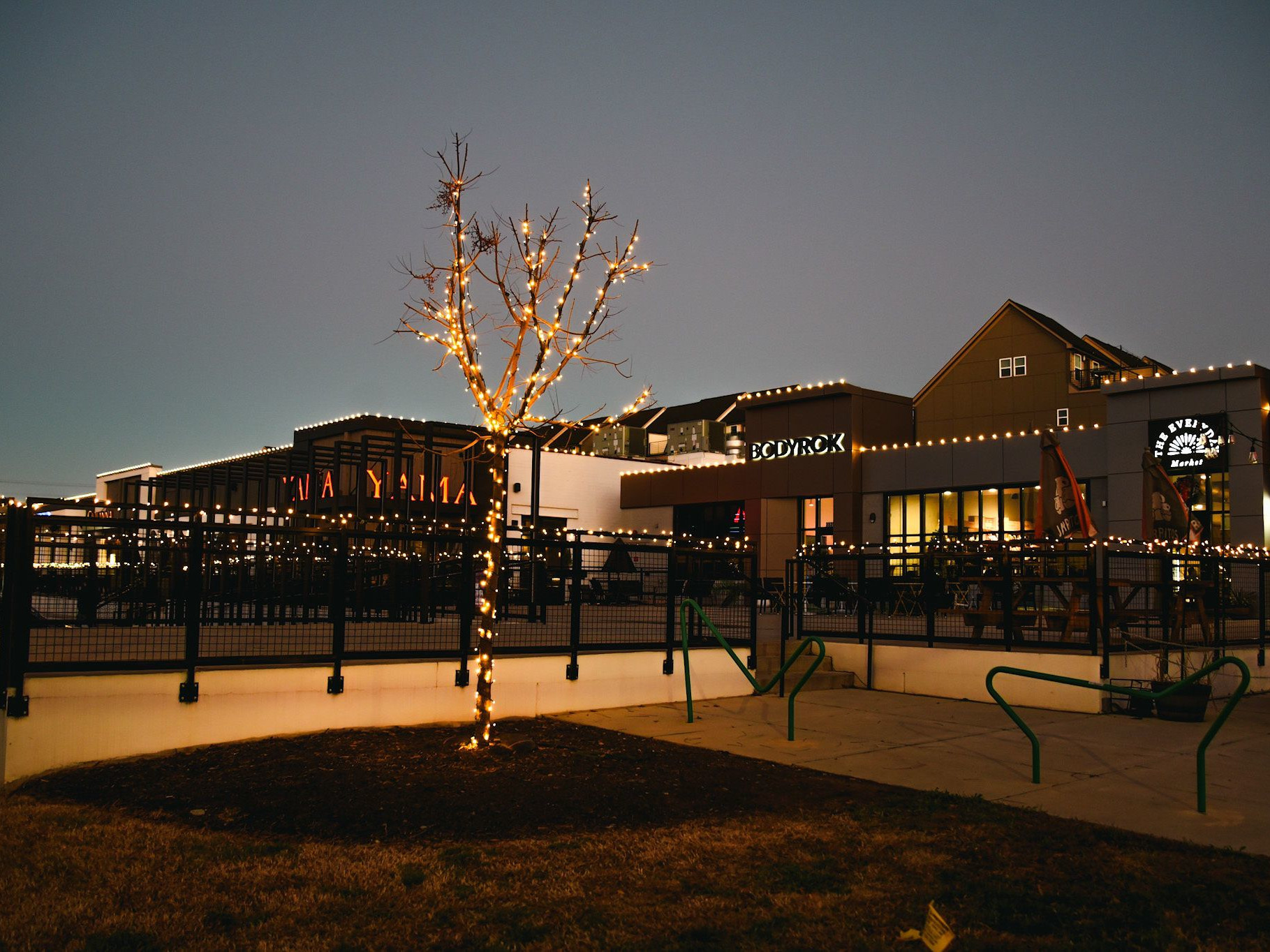 Custom Driveway and Gutter Light Setup by Charlotte's Best Christmas Lights in Charlotte, NC