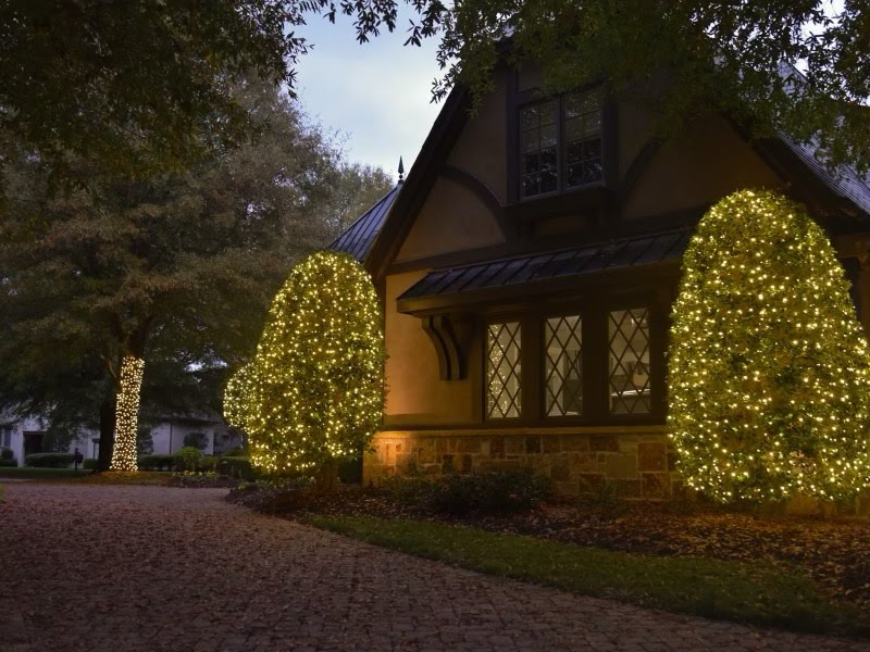 Holiday Tree Wrapping with Warm White Lights by Charlotte's Best Christmas Lights in Charlotte, NC