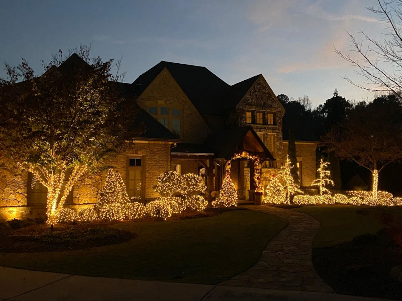 Sparkling Holiday Light Wrap on Tree Limbs by Charlotte's Best Christmas Lights in Charlotte, NC