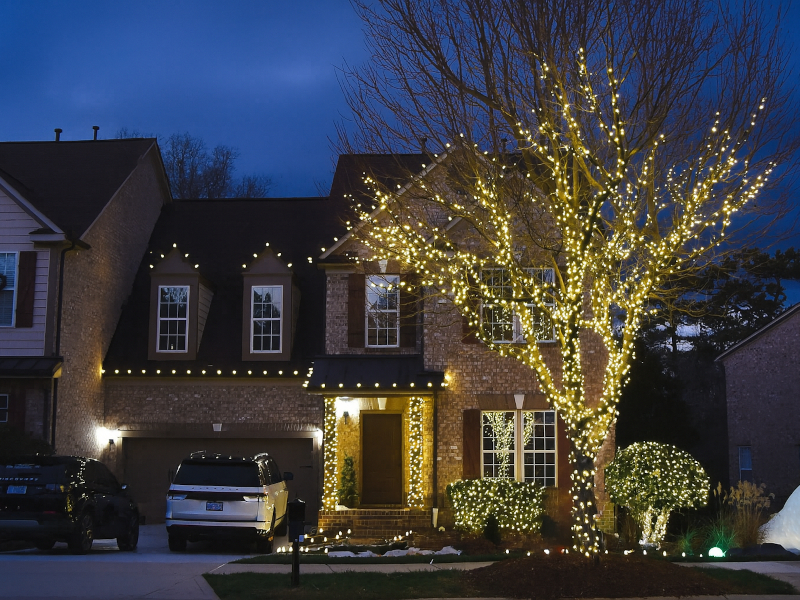 Colorful Yard and Bush Holiday Lighting by Charlotte's Best Christmas Lights in Charlotte, NC