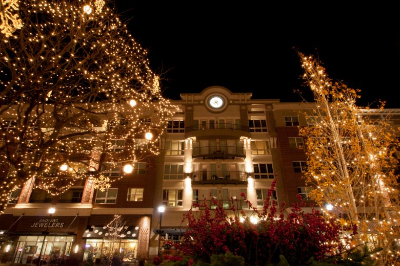 commercial-christmas-light-installation-services-008
